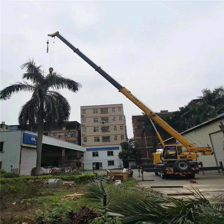 通许汽车吊出租多少钱？全面解析与市场行情